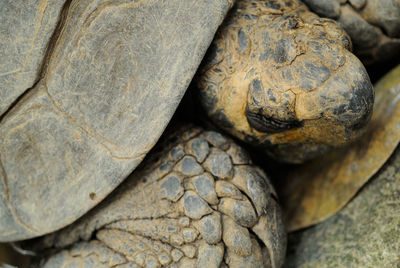 Close-up of rocks