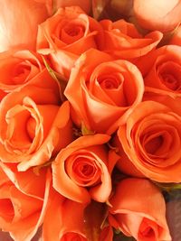 Full frame shot of orange roses