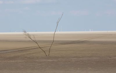 Scenic view of sand on field against sky