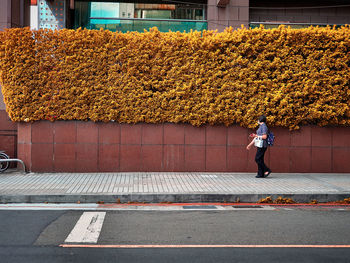 Side view of woman walking on sidewalk in city