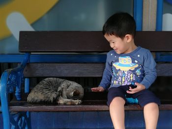 Portrait of cute boy playing with cat on bench