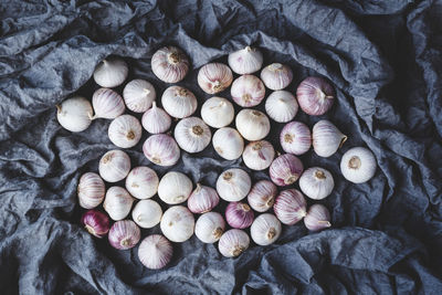 High angle view of shells