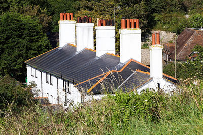 Plants growing on field against houses