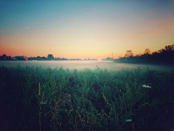 Scenic view of field against sky during sunset