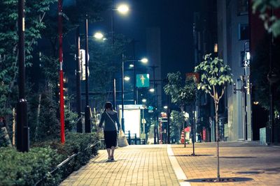 People walking on street at night