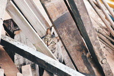 Close-up of wooden wall