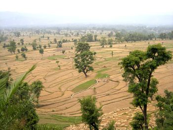 High angle view of agricultural field against sky