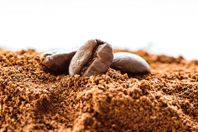 Close-up of coffee beans in background