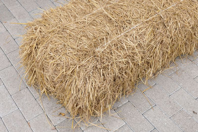 High angle view of hay bales on street