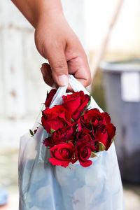 Cropped hand holding roses in plastic bag