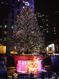 Illuminated christmas tree at night