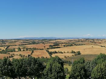 Scenic view of field against clear sky