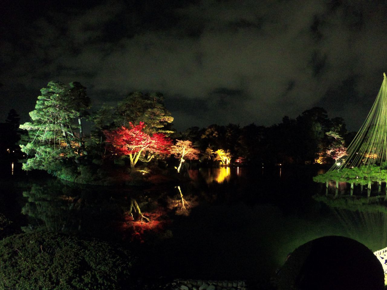 ILLUMINATED TREES BY LAKE AT NIGHT