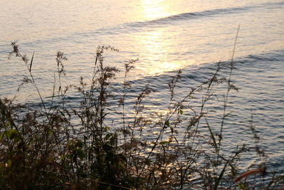 water