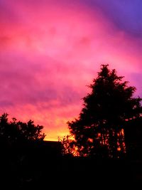 Low angle view of silhouette trees against dramatic sky during sunset