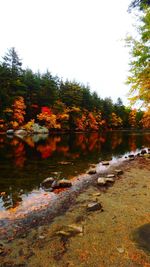 Scenic view of calm lake in park during autumn