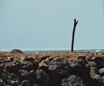 Rocks on shore against clear sky