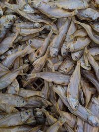 High angle view of fish for sale in market