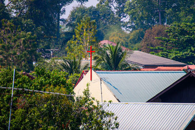 Plants and trees by swimming pool against house in forest