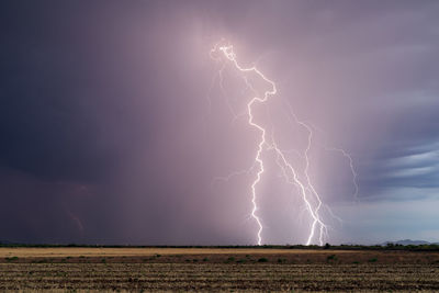 Lightning bolts strike from a monsoon thunderstorm in tucson, arizona