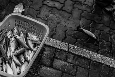 High angle view of fish in basket