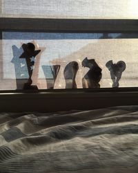 Shadow of statue on glass window