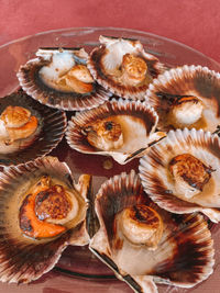 High angle view of shells