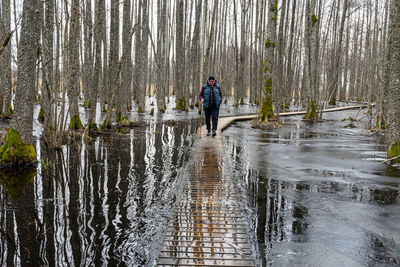 Rear view of man walking in forest