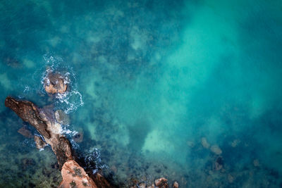 High angle view of rocks in sea