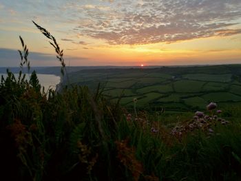 Scenic view of sea at sunset