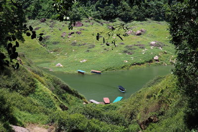 High angle view of lake amidst trees