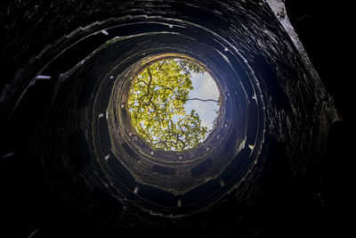 Directly below shot of spiral staircase