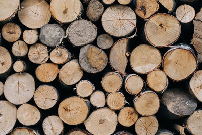 Full frame shot of logs in forest