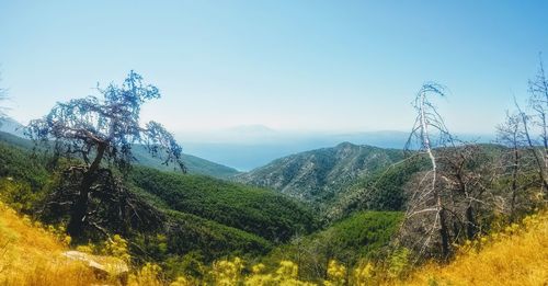 Scenic view of landscape against clear sky