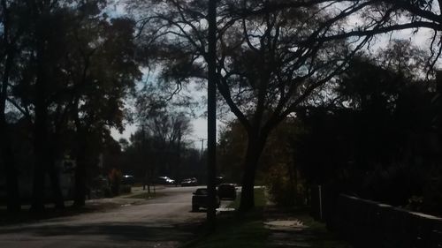 Road amidst trees against sky