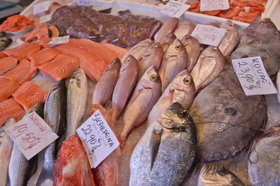 Close-up of fish for sale