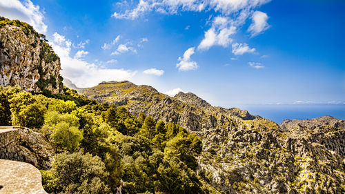 Panoramic view of rocks and trees against sky