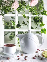 Close-up of potted plant on table