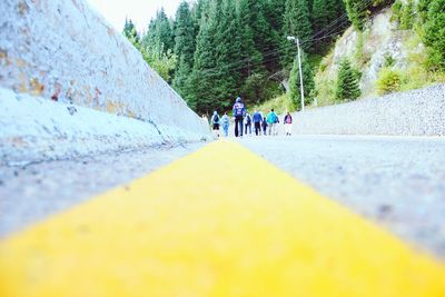 People walking on road amidst trees