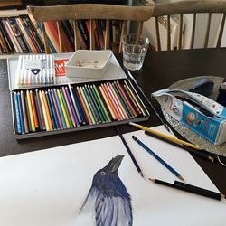 Close-up of birds on table