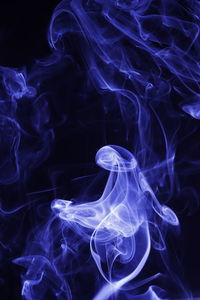 Close-up of jellyfish against black background