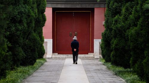 Rear view of man walking on footpath amidst trees in park