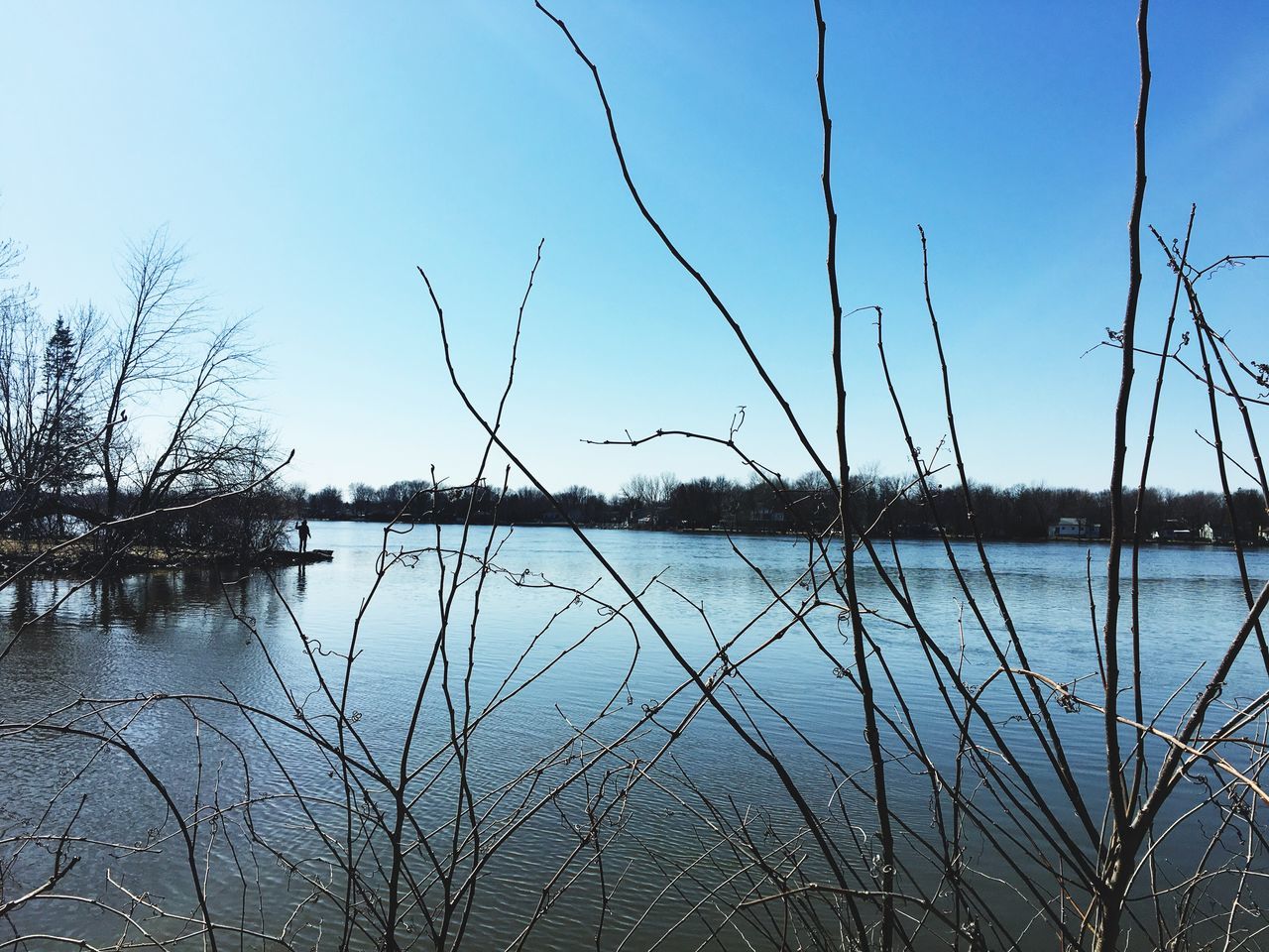 water, clear sky, reflection, tranquility, lake, tranquil scene, beauty in nature, nature, scenics, plant, blue, sky, growth, idyllic, outdoors, bare tree, grass, branch, no people, day