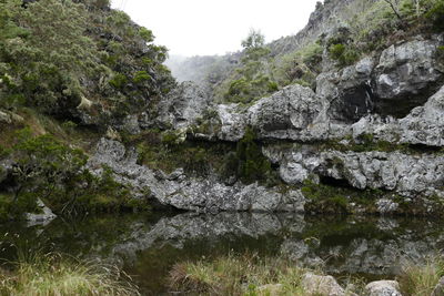 Scenic view of river in forest against sky