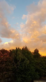 Low angle view of trees against sky during sunset