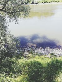 Scenic view of lake