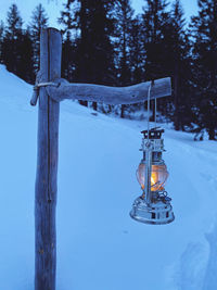 Illuminated light amidst trees on field during winter