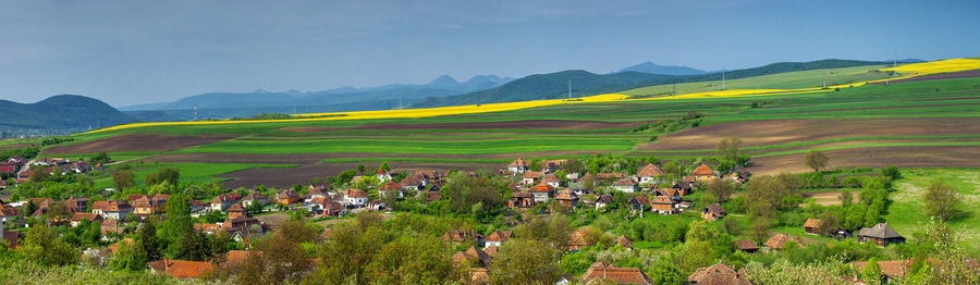 Scenic view of agricultural field against sky