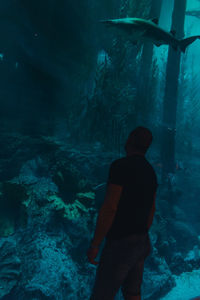 Rear view of man standing by fishes swimming in aquarium
