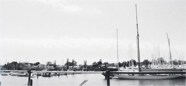 Boats in harbor